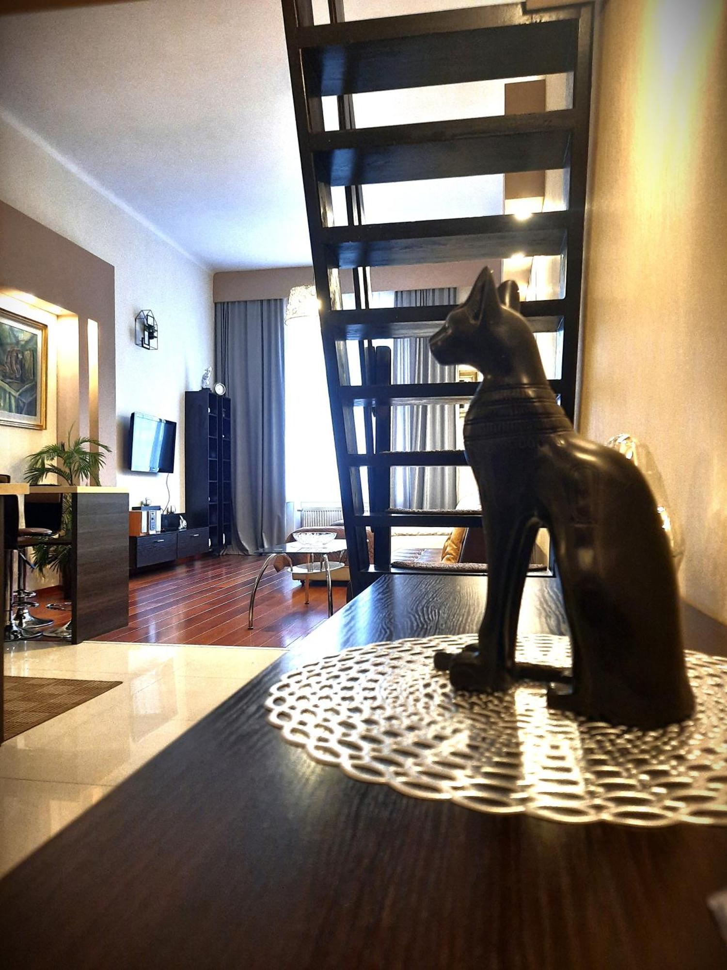 Luxury Senate Apartment Cracovie Extérieur photo